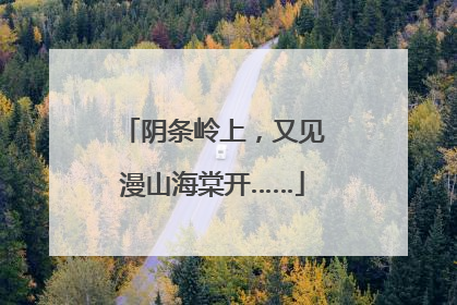阴条岭上，又见漫山海棠开……