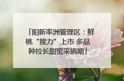 阳新率洲管理区：鲜桃“接力”上市 多品种拉长甜蜜采摘期