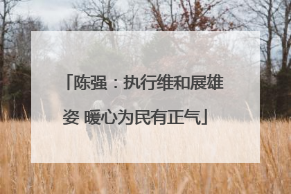 陈强：执行维和展雄姿 暖心为民有正气