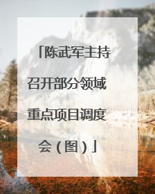 陈武军主持召开部分领域重点项目调度会（图）