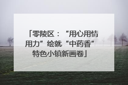 零陵区：“用心用情用力”绘就“中药香”特色小镇新画卷