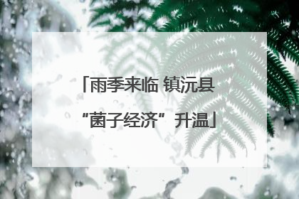 雨季来临 镇沅县“菌子经济”升温