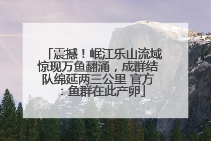 震撼！岷江乐山流域惊现万鱼翻涌，成群结队绵延两三公里 官方：鱼群在此产卵