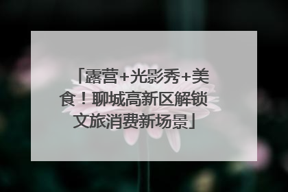 露营+光影秀+美食！聊城高新区解锁文旅消费新场景