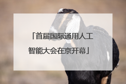 首届国际通用人工智能大会在京开幕