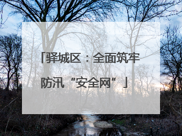 驿城区：全面筑牢防汛“安全网”
