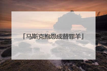 马斯克抱怨成替罪羊