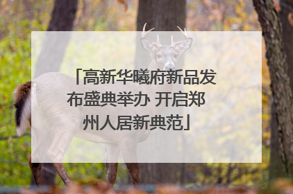 高新华曦府新品发布盛典举办 开启郑州人居新典范