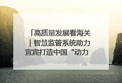 高质量发展看海关｜智慧监管系统助力宜宾打造中国“动力电池之都”