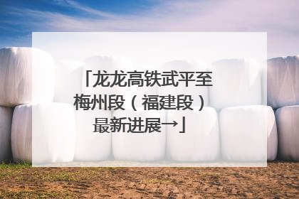 龙龙高铁武平至梅州段（福建段）最新进展→