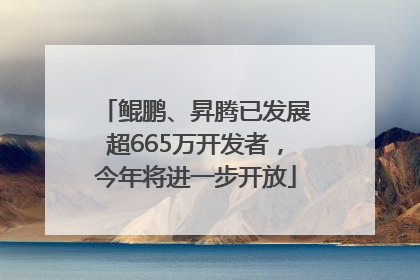 鲲鹏、昇腾已发展超665万开发者，今年将进一步开放
