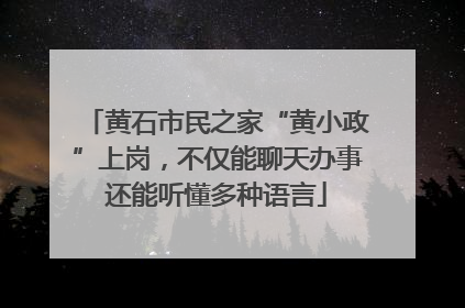 黄石市民之家“黄小政”上岗，不仅能聊天办事还能听懂多种语言