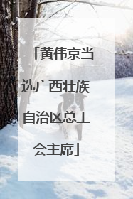 黄伟京当选广西壮族自治区总工会主席