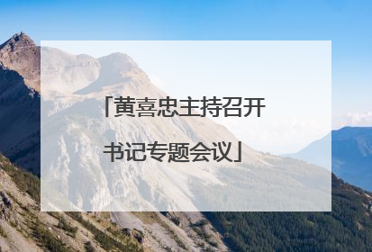 黄喜忠主持召开书记专题会议