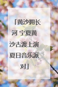 黄沙拥长河 宁夏黄沙古渡上演夏日音乐派对