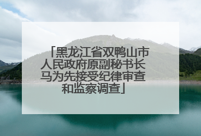 黑龙江省双鸭山市人民政府原副秘书长马为先接受纪律审查和监察调查