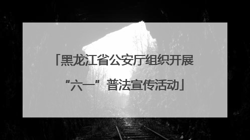 黑龙江省公安厅组织开展“六一”普法宣传活动