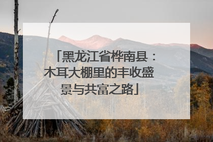 黑龙江省桦南县：木耳大棚里的丰收盛景与共富之路
