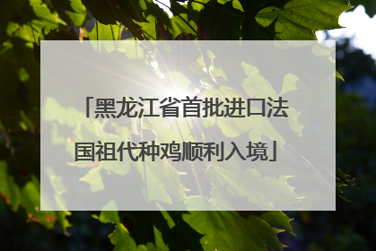 黑龙江省首批进口法国祖代种鸡顺利入境