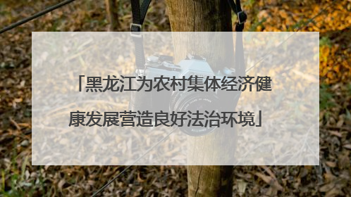 黑龙江为农村集体经济健康发展营造良好法治环境