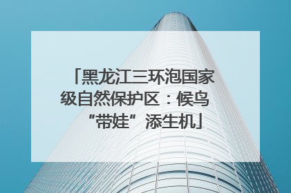 黑龙江三环泡国家级自然保护区：候鸟“带娃”添生机