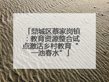 鼎城区蔡家岗镇：教育资源整合试点激活乡村教育“一池春水”