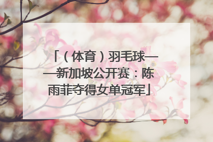 （体育）羽毛球——新加坡公开赛：陈雨菲夺得女单冠军