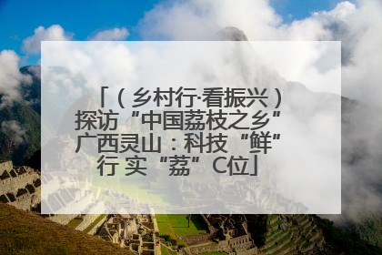 （乡村行·看振兴）探访“中国荔枝之乡”广西灵山：科技“鲜”行 实“荔”C位