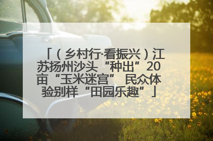 （乡村行·看振兴）江苏扬州沙头“种出”20亩“玉米迷宫” 民众体验别样“田园乐趣”