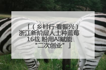 （乡村行·看振兴）浙江新阶层人士种蓝莓16载 盼用AI赋能“二次创业”