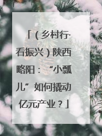 （乡村行·看振兴）陕西略阳：“小瓢儿”如何撬动亿元产业？