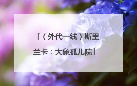 （外代一线）斯里兰卡：大象孤儿院