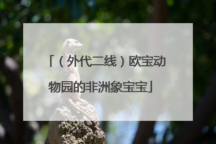 （外代二线）欧宝动物园的非洲象宝宝