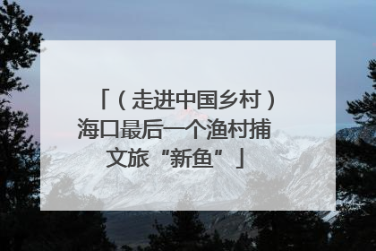 （走进中国乡村）海口最后一个渔村捕文旅“新鱼”