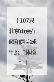 107只北京雨燕在颐和园完成年度“体检”