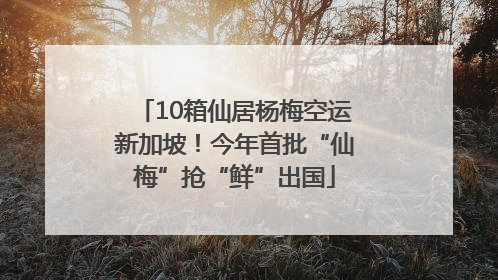 10箱仙居杨梅空运新加坡！今年首批“仙梅”抢“鲜”出国