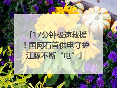 17分钟极速救援！国网石首供电守护江豚不断“电”