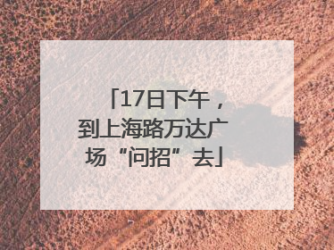17日下午，到上海路万达广场“问招”去