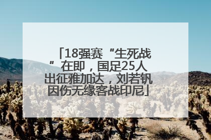 18强赛“生死战”在即，国足25人出征雅加达，刘若钒因伤无缘客战印尼