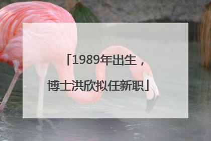 1989年出生，博士洪欣拟任新职