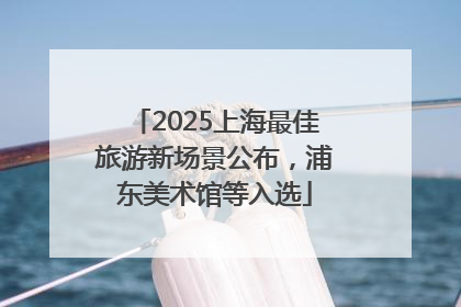 2025上海最佳旅游新场景公布，浦东美术馆等入选