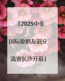 2025中非国际象棋友谊交流赛长沙开幕