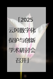 2025云冈数字化保护与创新学术研讨会召开