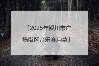 2025年银川市广场街区音乐会启幕