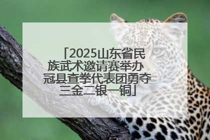 2025山东省民族武术邀请赛举办 冠县查拳代表团勇夺三金二银一铜