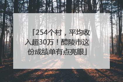 254个村，平均收入超30万！醴陵市这份成绩单有点亮眼