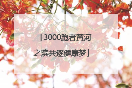 3000跑者黄河之滨共逐健康梦