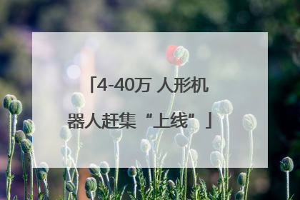 4-40万 人形机器人赶集“上线”