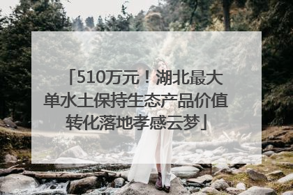 510万元！湖北最大单水土保持生态产品价值转化落地孝感云梦