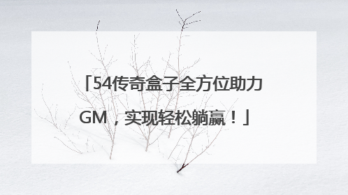 54传奇盒子全方位助力GM，实现轻松躺赢！